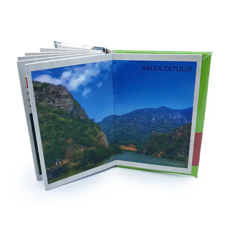 Valea oltului, magnet carte, model 2048g